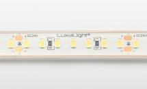 LuxaLight LED-strip Wit 5600K Waterdicht (24 Volt, 140 LEDs, 2835, IP68)