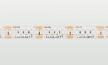 LuxaLight UV LED-strip 365nm Beschermd (24 Volt, 240 LEDs, 2835, IP64)