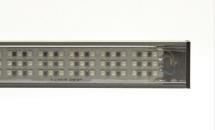 LuxaLight Industriële LED Armatuur Polarised cover Groen 525nm 24.2x16mm (24 volt, 2835, IP64)