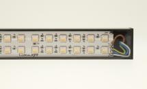 LuxaLight Industriële LED Armatuur Transparant IP68 RGBW 24.2x16mm (24 Volt, 5050, IP68)