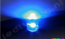 Ronde LED 10mm 140° 4-chip 80mA 3lm Blauw