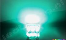 Flat SuperFlux LED 120° 2200mcd Turquoise