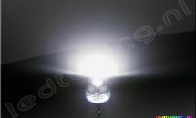 Strawhat LED 120° 5mm 2500mcd White