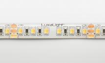 LuxaLight LED-strip Warm Wit 2600K - Koel Wit 8600K Kleurtemperatuur Beschermd (24 Volt, 240 LEDs, 3527, IP64)