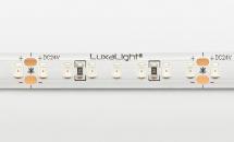 LuxaLight Deep Red LED-strip 700nm Protected (24 Volt, 140 LEDs, 2835, IP64)