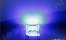 Platte SuperFlux LED 120° 1200mcd Blauw